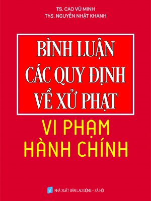 Bình luận các quy định về xử phạt vi phạm hành chính