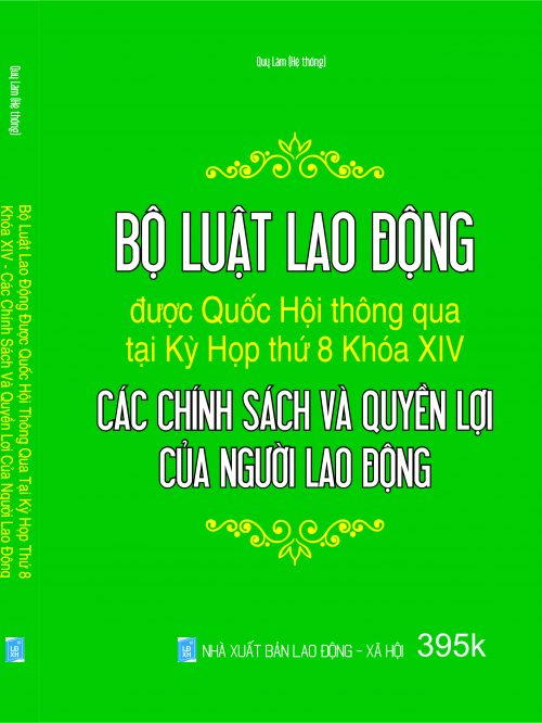 BO LUAT LAO DONG – CAC CHINH SACH VA QUYEN LOI CUA NGUOI LDONG